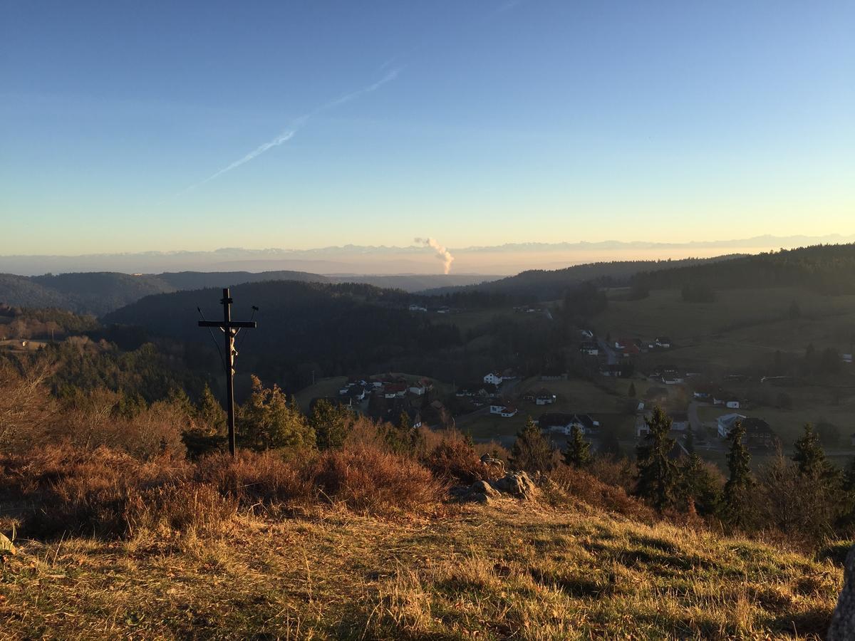 Hotel Dachsberger-Hof Wittenschwand Экстерьер фото
